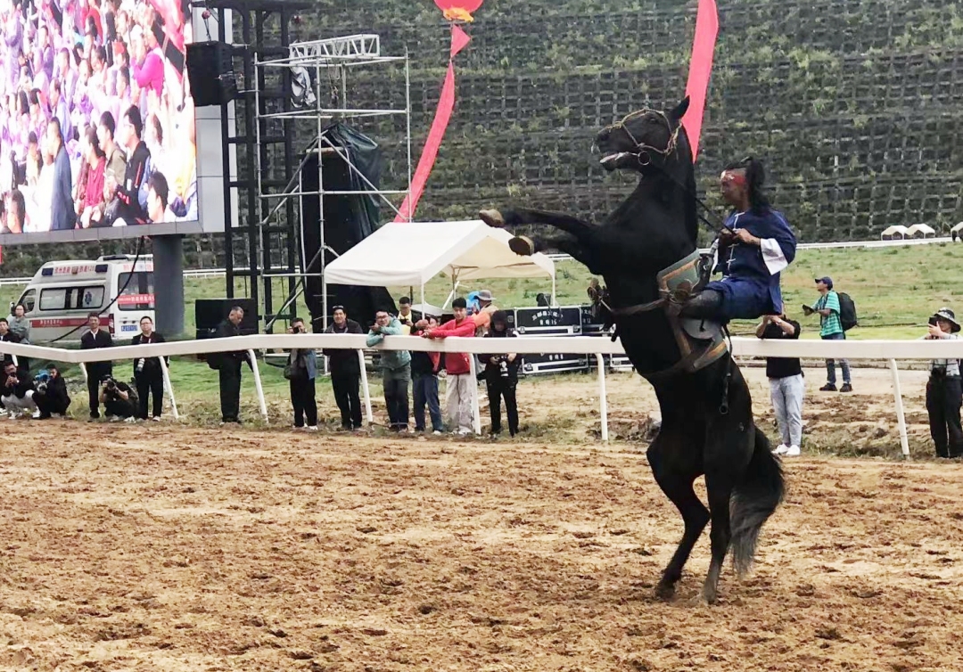 微信图片_20241002170840