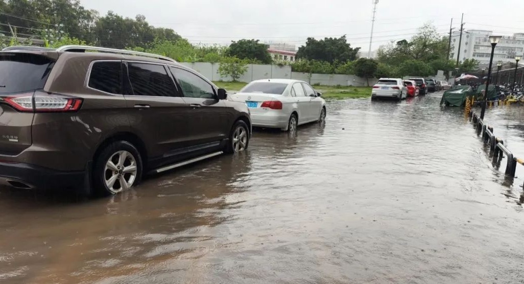 1728372911277031061.jpeg 1728372911277031061.jpeg