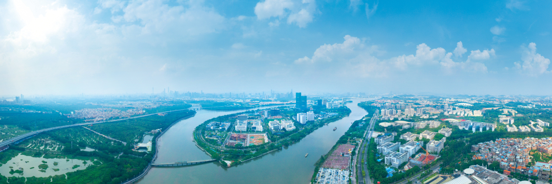 莫伟浓20220914航拍珠江生物医药产业链 生物岛医药港大坦沙