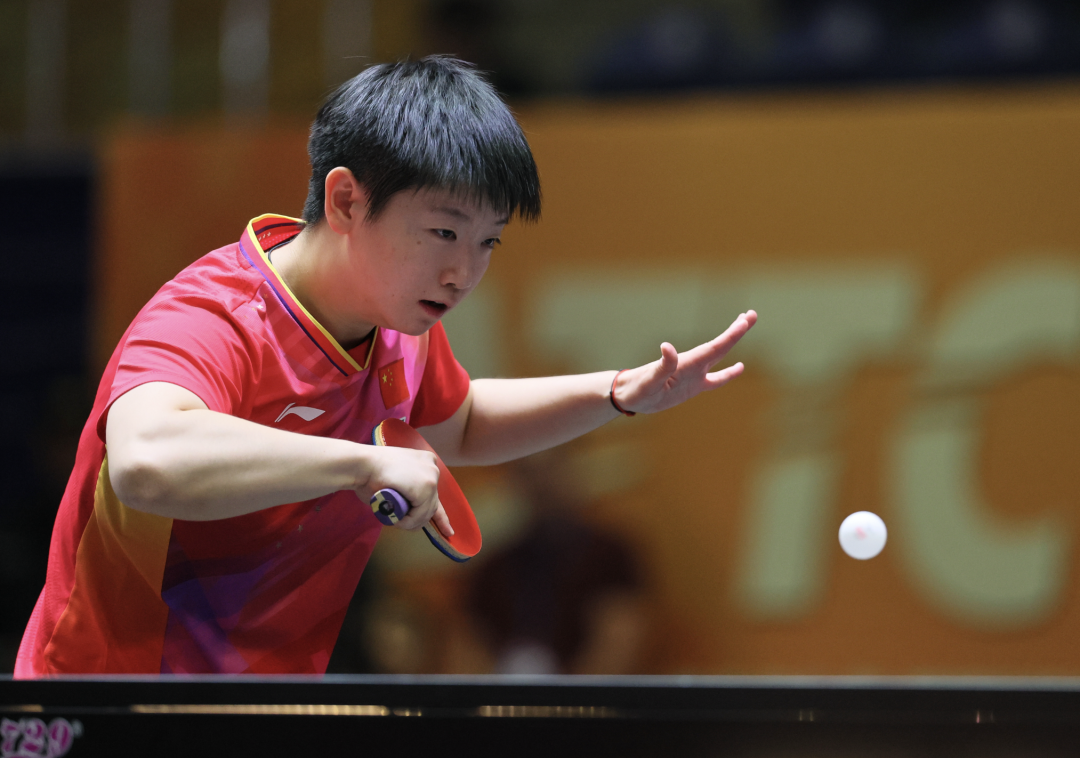 截屏2024-10-10 08.01.49