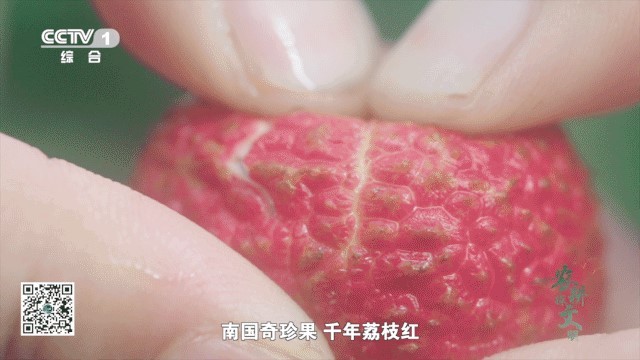 _2024_10_yeks202410141952178644409