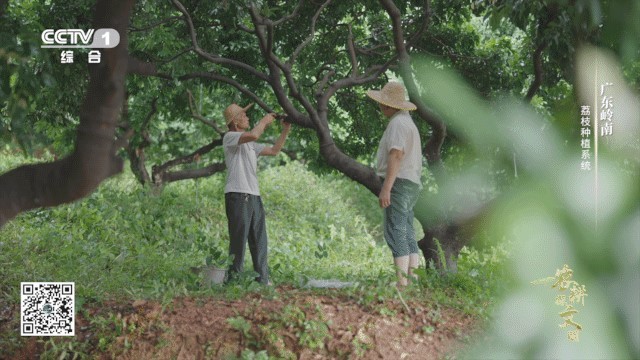 640 (2).gif 640 (2).gif