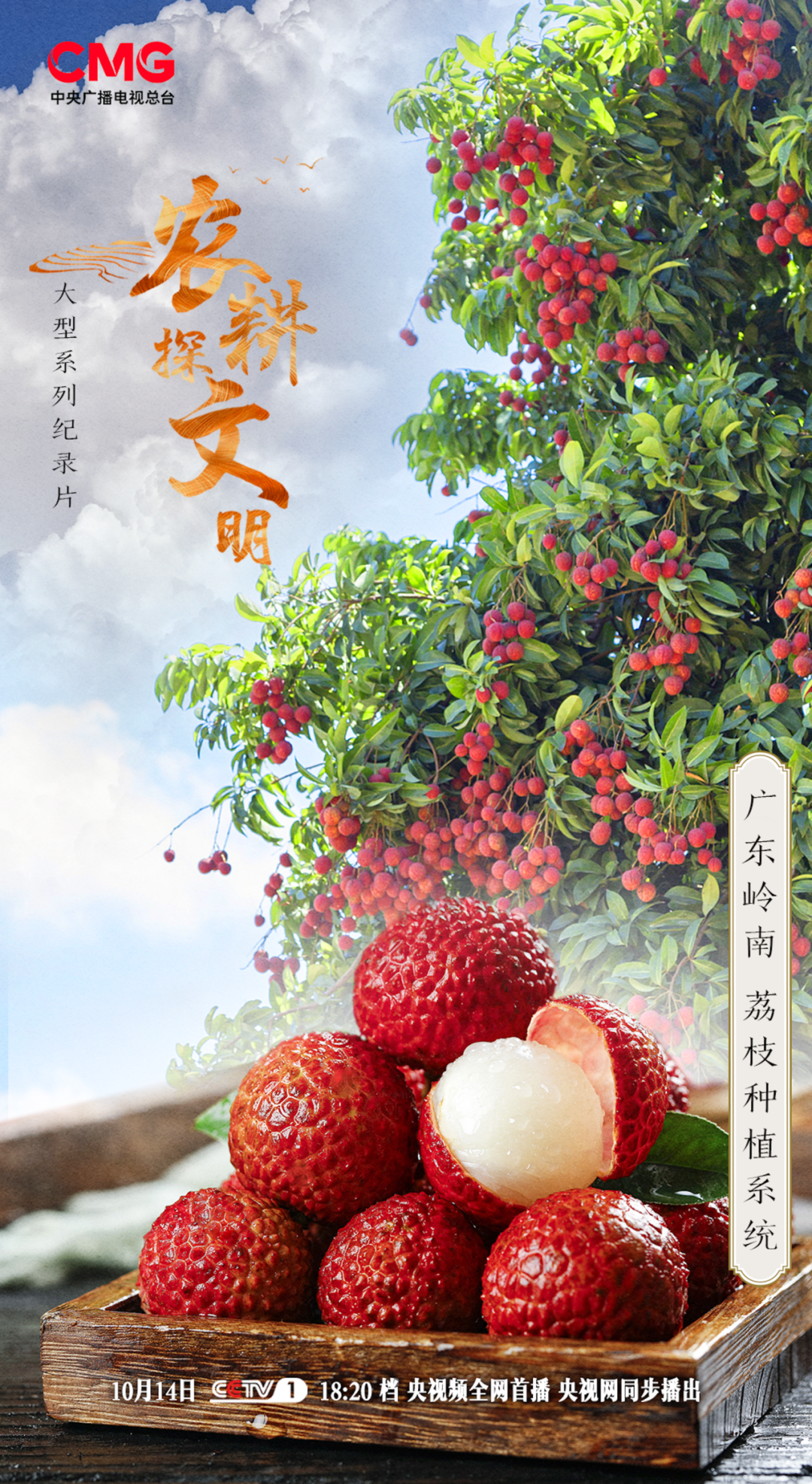 _2024_10_yeks202410141952288644426