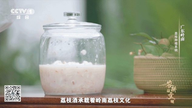 微信截图_20241014213345