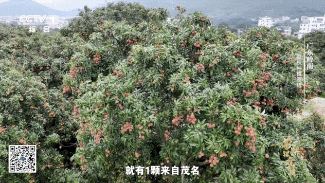 微信截图_20241014213453