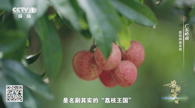 微信截图_20241014213641