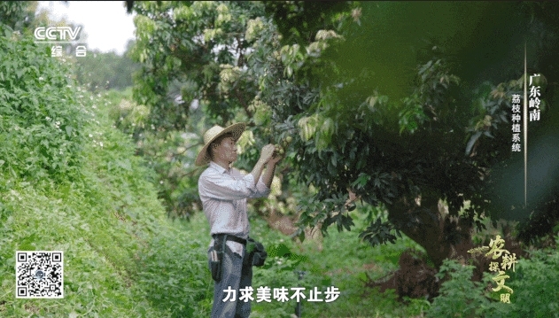 微信截图_20241014213731