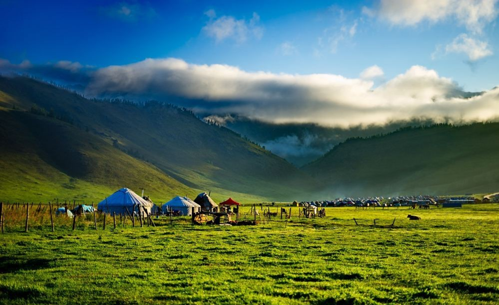 1 阿勒泰草原风光。携程供图