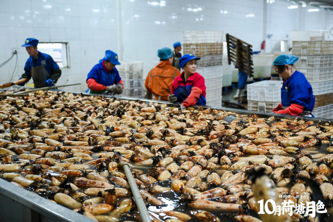 微信图片_20241022212345