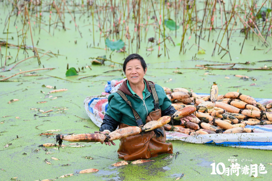 微信图片_20241022212353