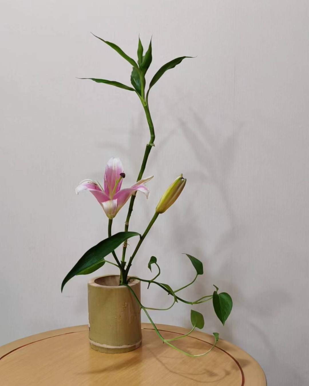 综合养老示范平台分教点 杜淑珍.jpg 综合养老示范平台分教点 杜淑珍.jpg
