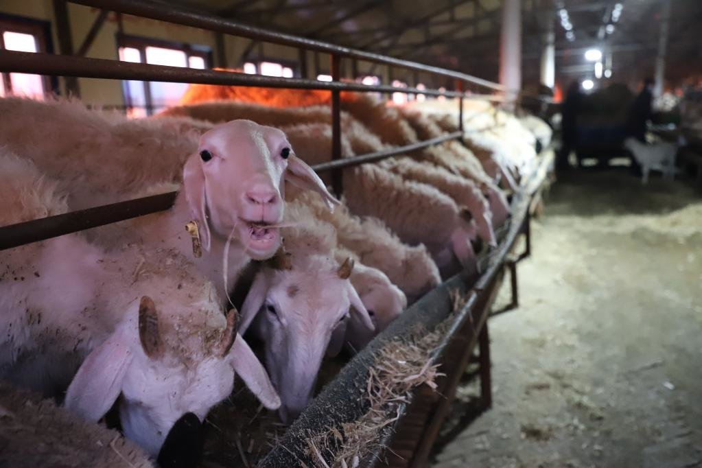 e0b50a8bf593862d5037a90626d95a7f