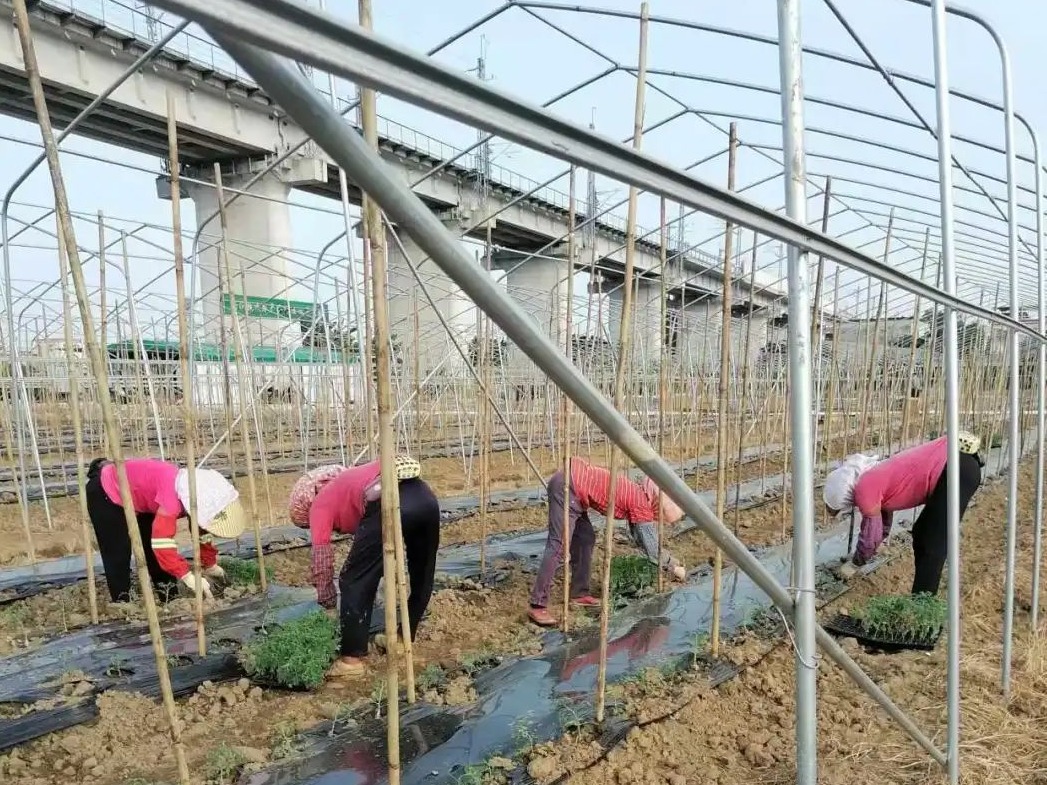 1729852739720046312.jpeg 1729852739720046312.jpeg