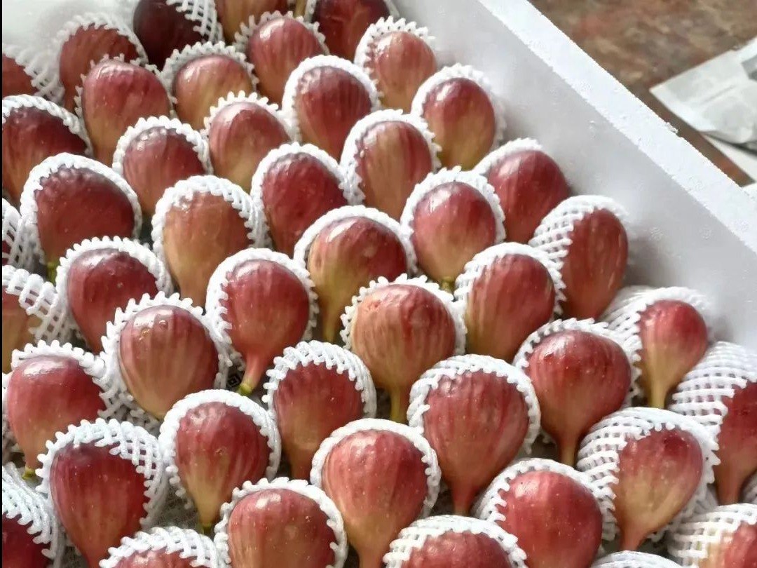 1729850601958092879.jpeg 1729850601958092879.jpeg