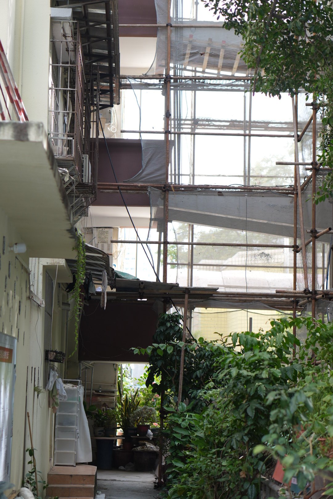 前进街10号涉规划路段的加装电梯