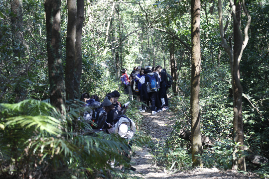 17ca7df74eb64687453119da811ff55.png 17ca7df74eb64687453119da811ff55.png