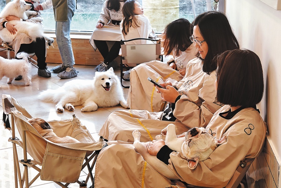 Pet Cafes Tokyo: A Haven for Furry Friends and Coffee Lovers