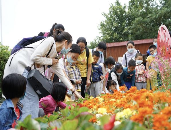 6e5da9d4a5a1bf4e7c75791456ed0d7.png 6e5da9d4a5a1bf4e7c75791456ed0d7.png