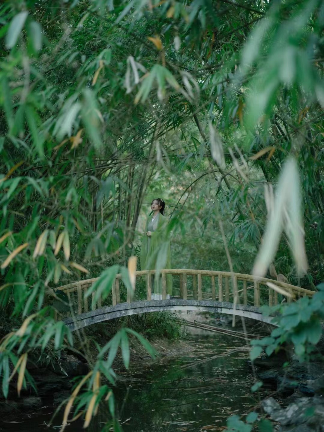 汉服直裾加大袖衫 摄于华南植物园(2)摄影师:Windy 模特:蜜丽