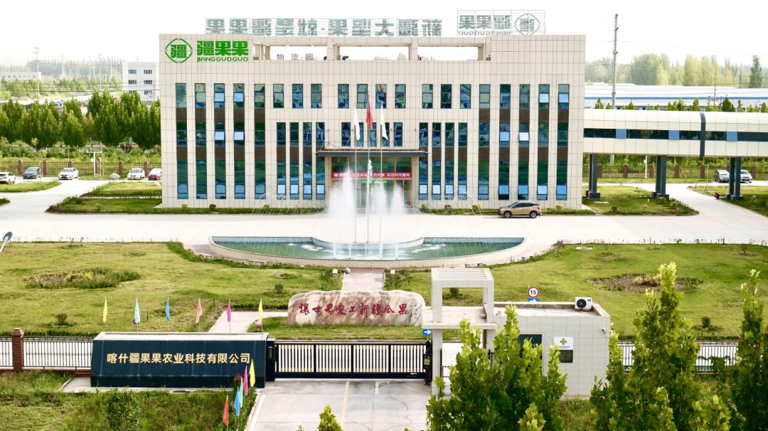 疆果果9周年：初心不改，坚果传情，共筑新疆梦