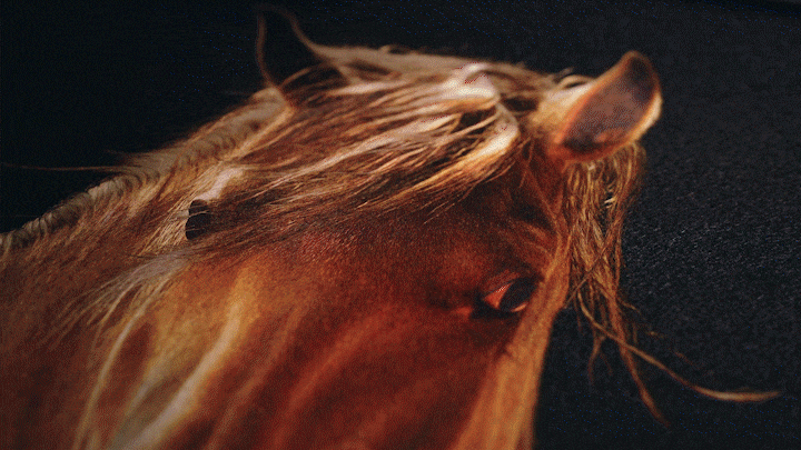 01小麦浏览广绣短视频.gif 01小麦浏览广绣短视频.gif