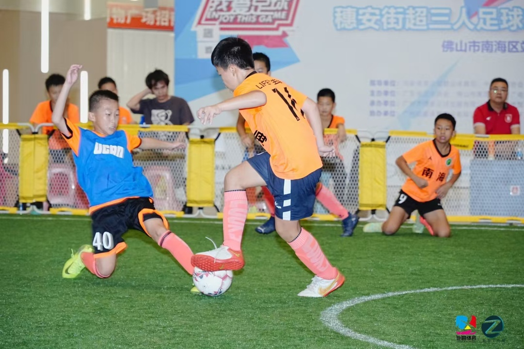 微信图片_20241116195617