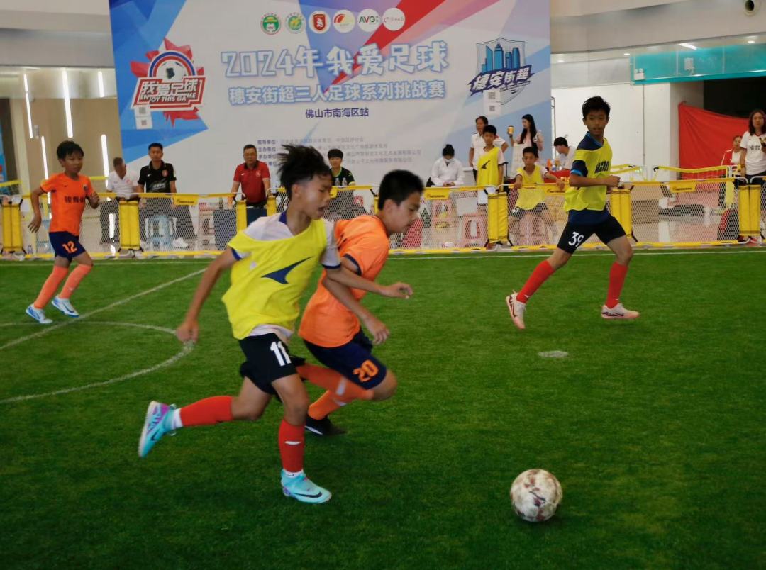 微信图片_20241116192330