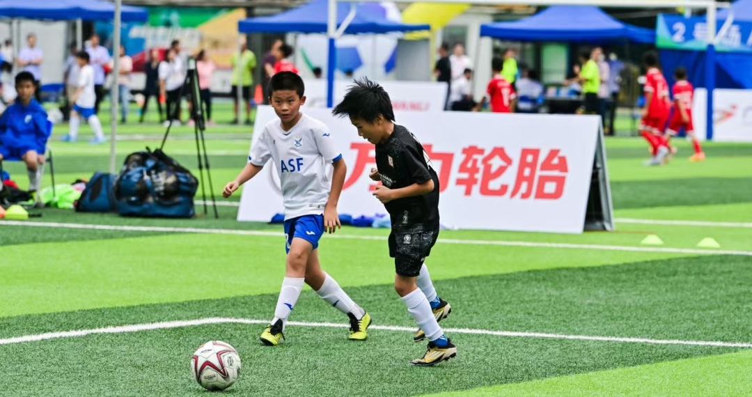 微信图片_20241117201905