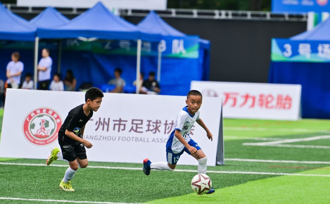 微信图片_20241117201922