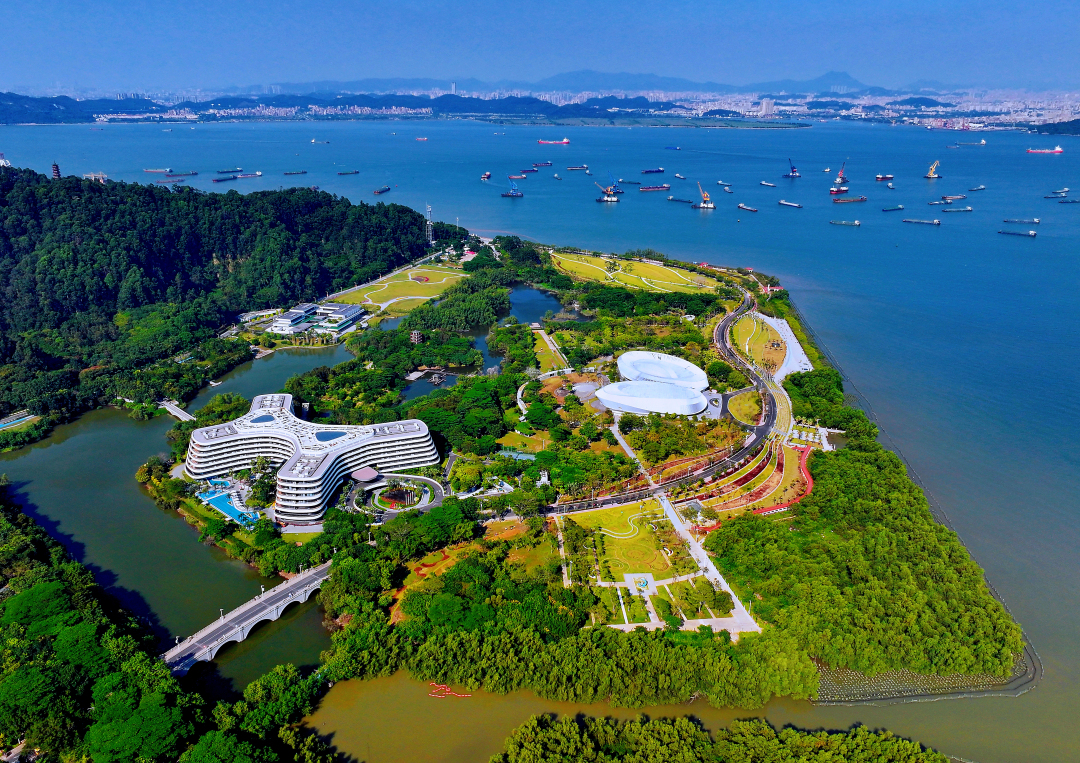 莫伟浓-靓爆镜!打卡升级后的南沙滨海公园,草坪尽-NEP1_20241008_C00412729336