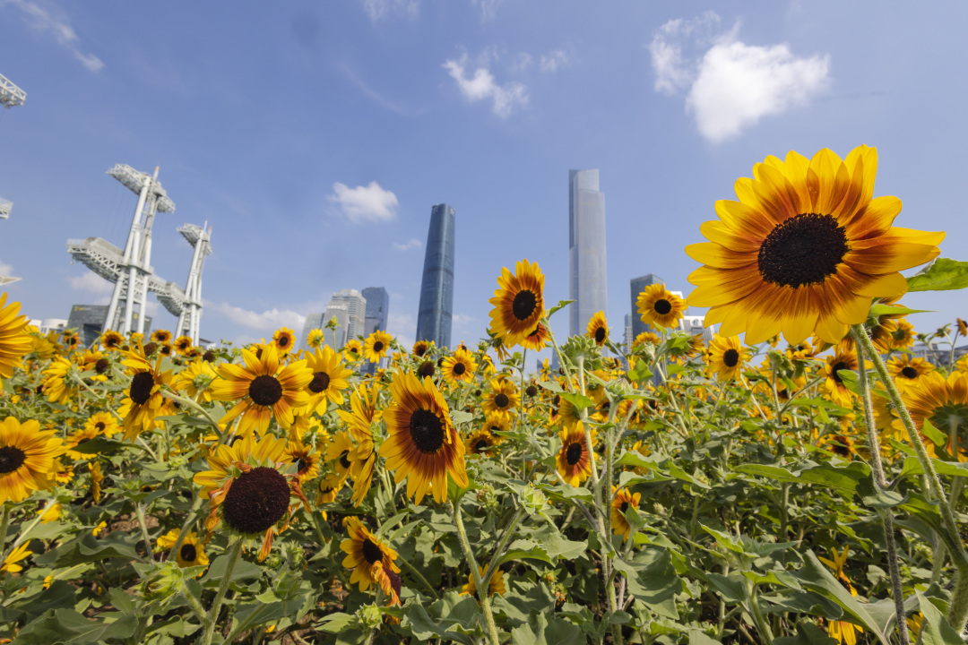 陈忧子-1B3A7913-NEP1_20240920_C00412644080