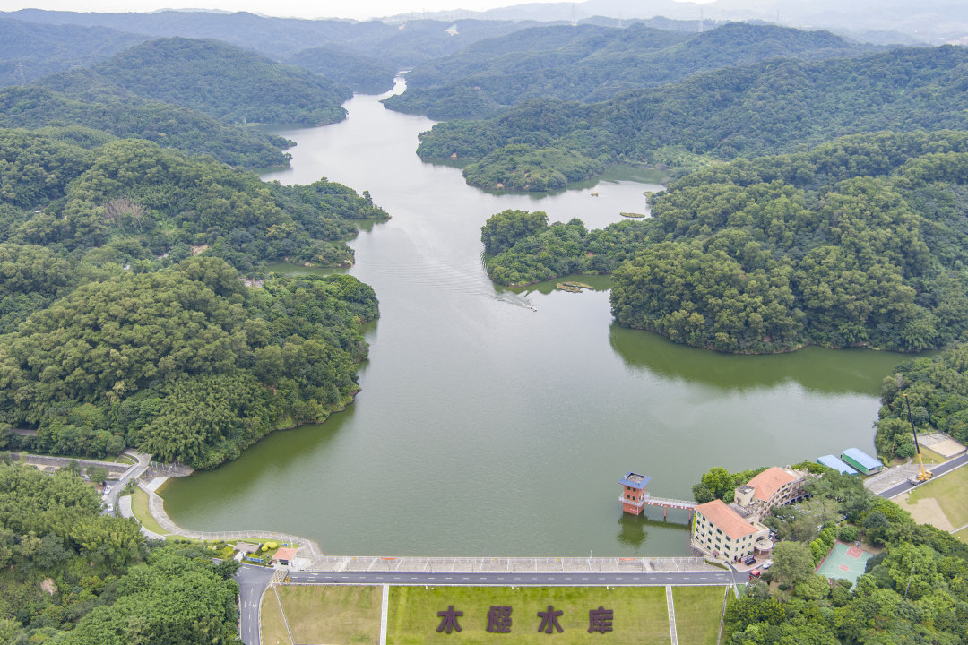 杨耀烨-1-NEP1_20241119_C00412945321