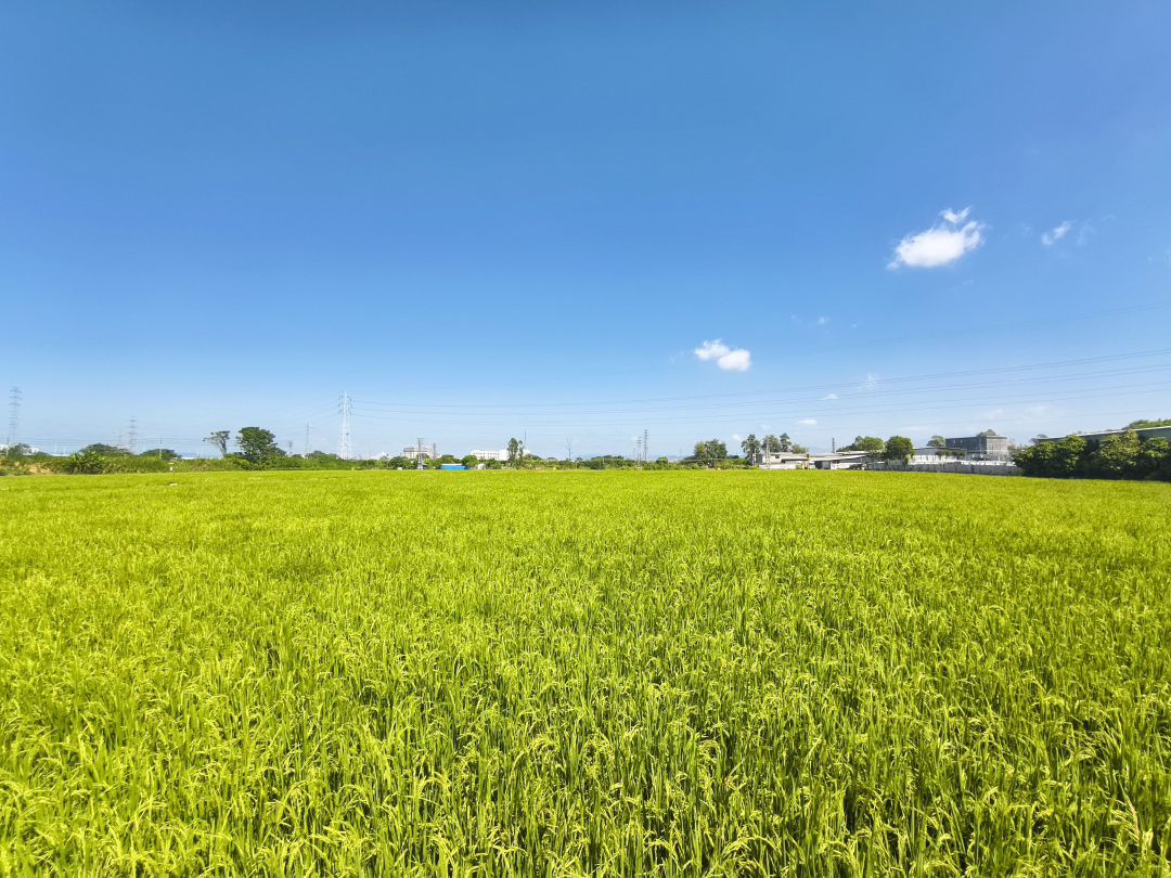 骆昌威-IMG_20241022_111311-FZ100212951024