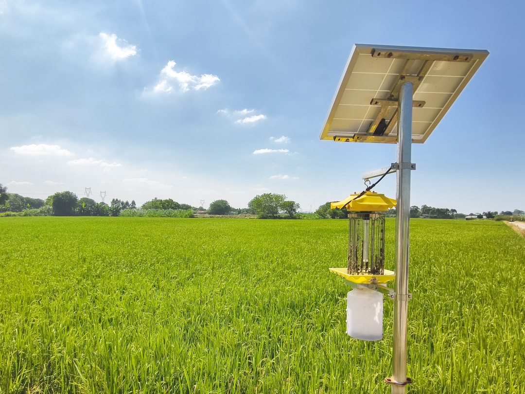 骆昌威-IMG_20241022_111311-FZ100212951020