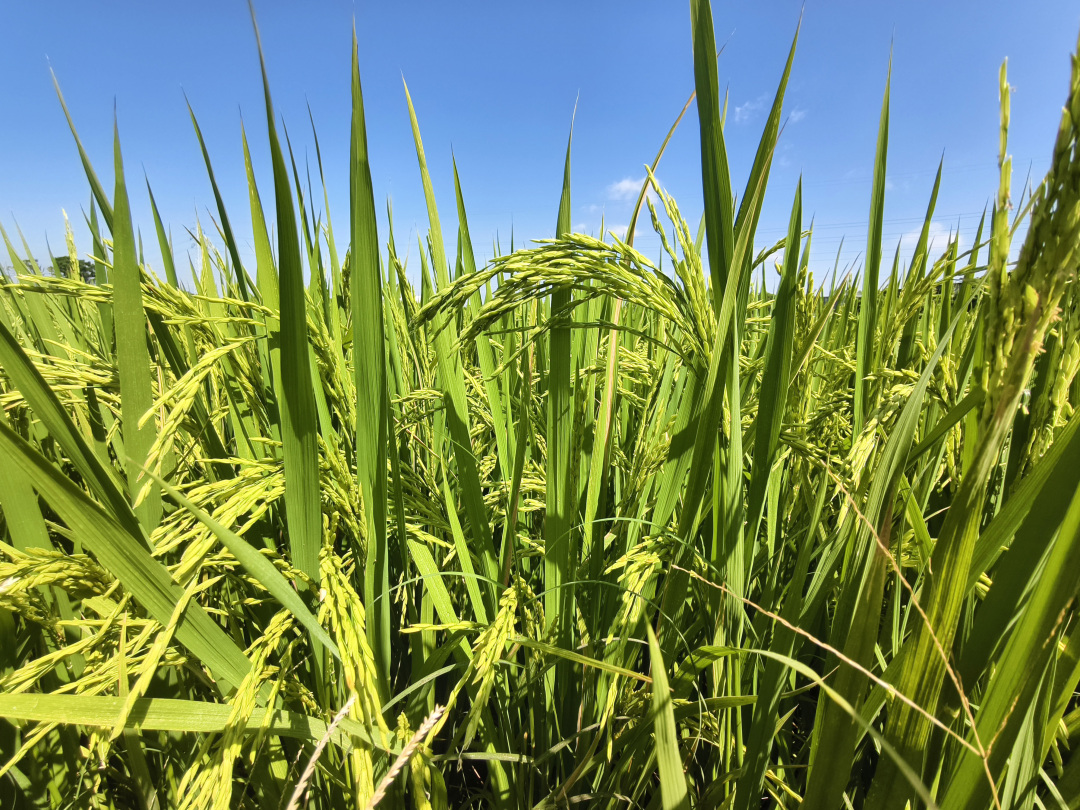 骆昌威-IMG_20241022_111311-FZ100212951022