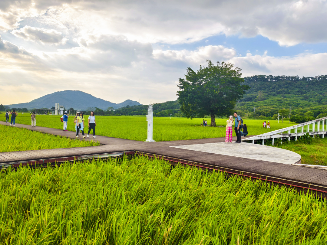 骆昌威-MAX_0319-FZ100212951103