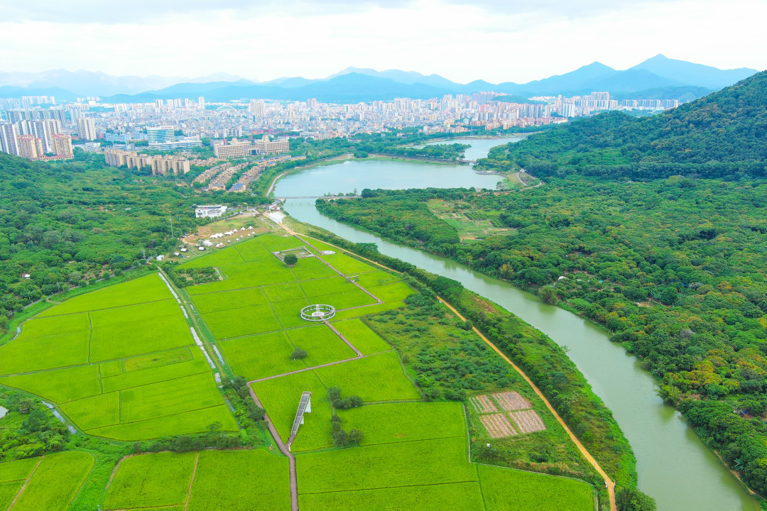 骆昌威-MAX_0319-FZ100212951119