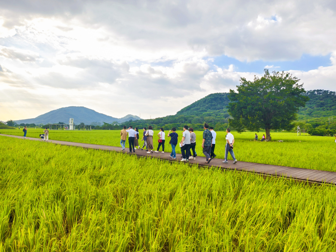 骆昌威-MAX_0319-FZ100212951099