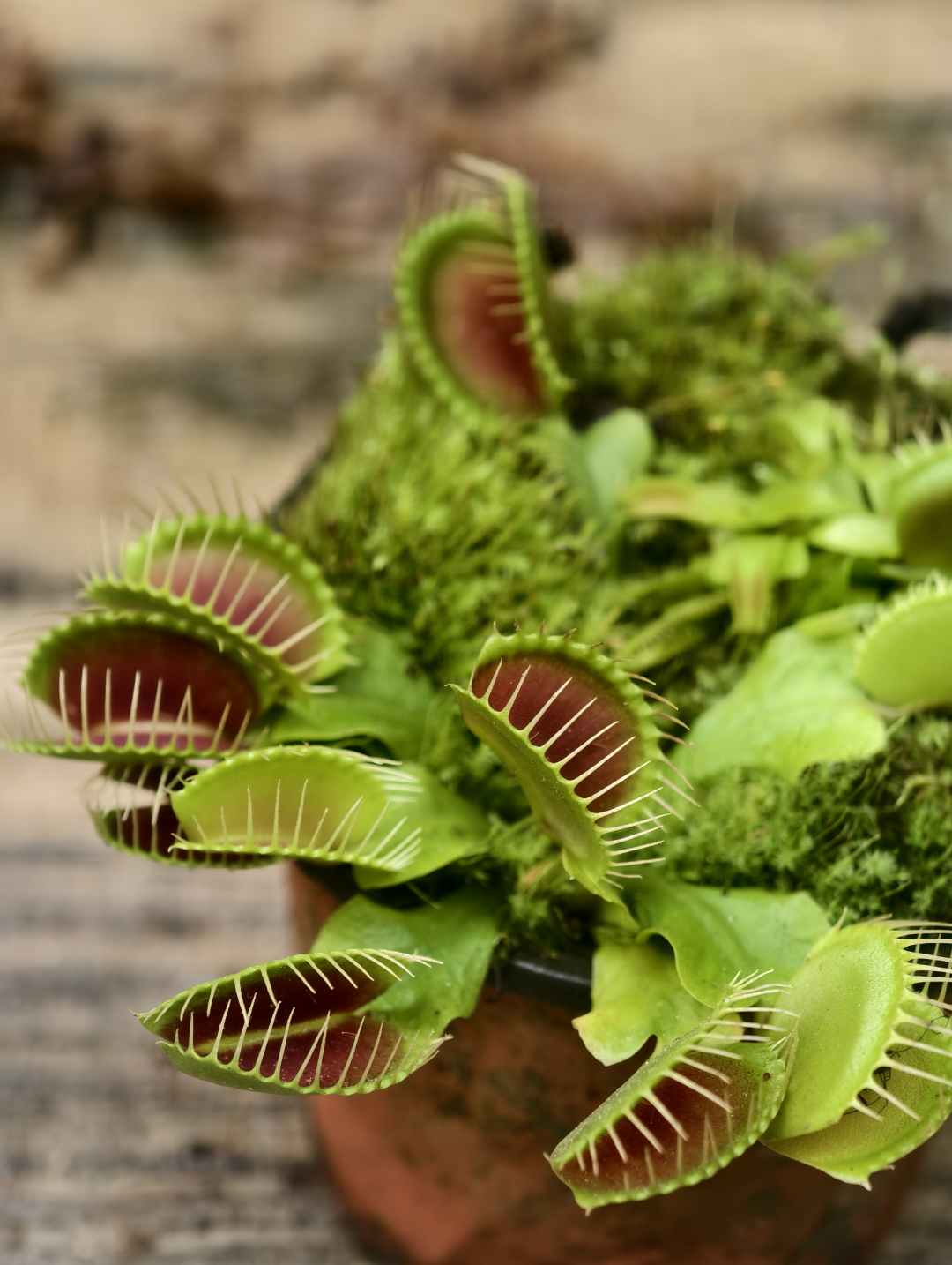 4b5a59150d7797146344875f2845e16.png 4b5a59150d7797146344875f2845e16.png