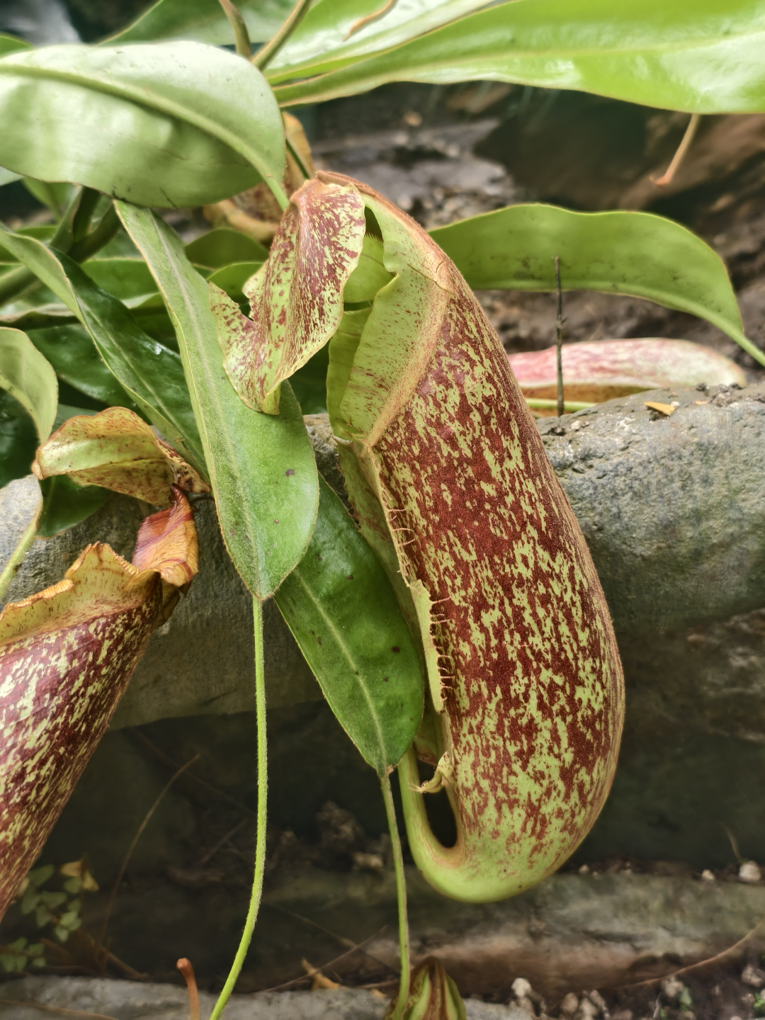 749cbb09e87ea7a08b880e240b11611.png 749cbb09e87ea7a08b880e240b11611.png