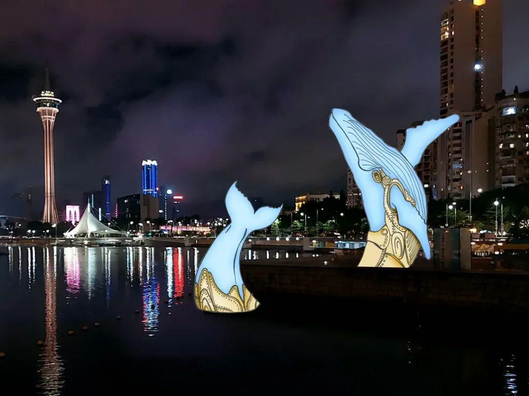 微信图片_20241123105151