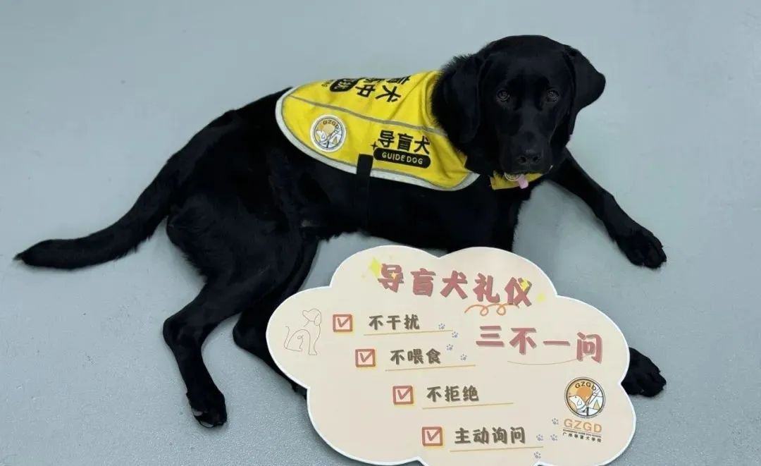 1731546031179084731.jpeg 图片