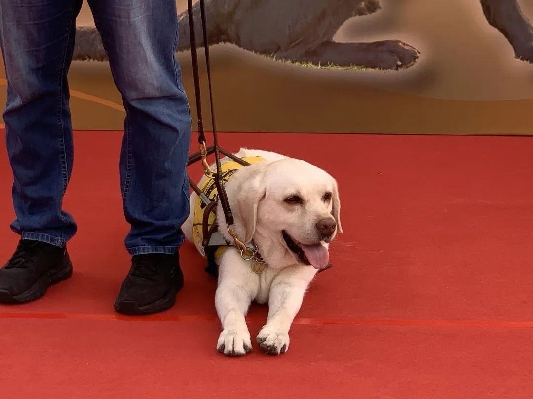 33a58b179eb8578867ae5de6142ed99.jpg 图片