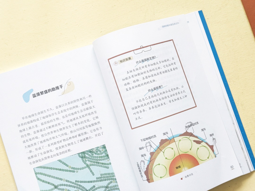 微信图片_20241126223325