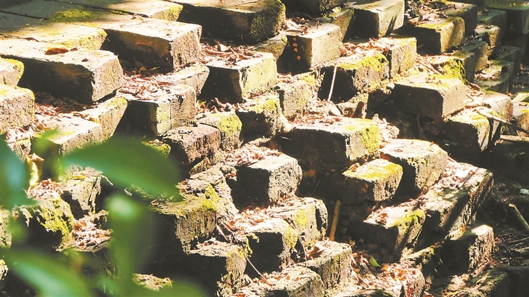 12966847_renqian_1732516239956_s