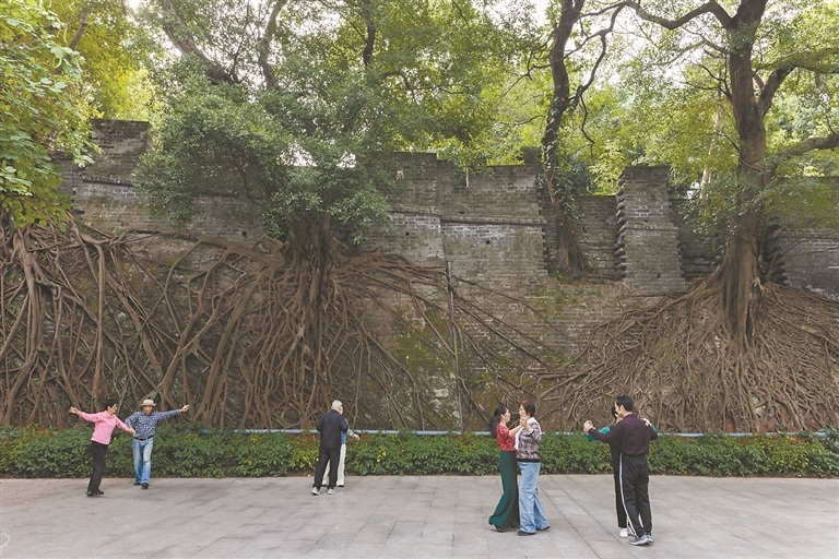 12973437_renqian_1732611136507_s (1)