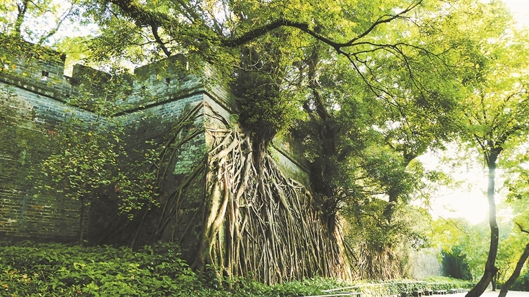 12966849_renqian_1732515661193_s