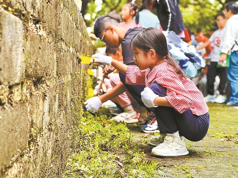 12966848_renqian_1732515824702_s