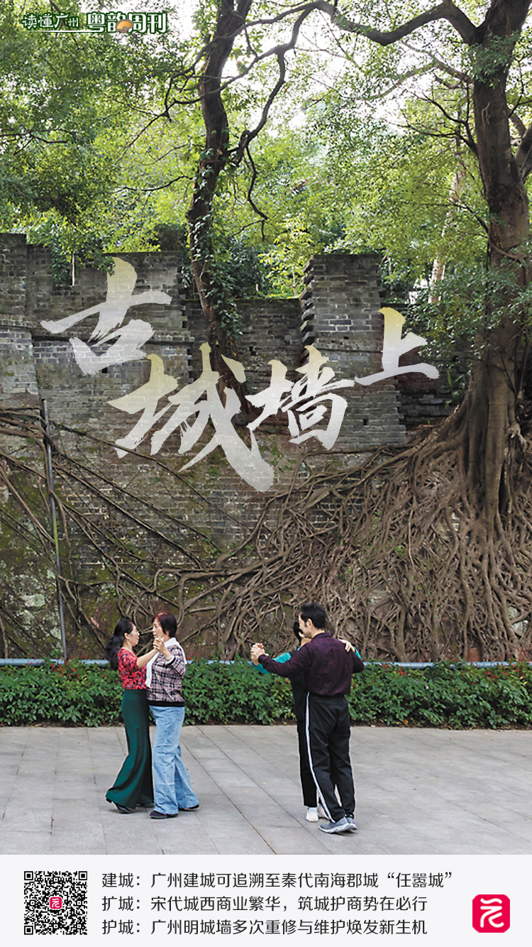 微信图片_20241127185026