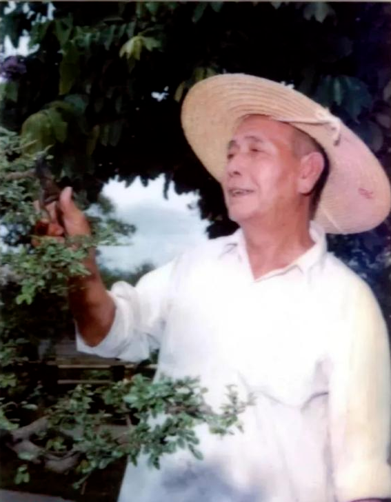 1732876988259013015.png 1732876988259013015.png